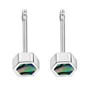 Abalone Shell Hexagon Silver Stud Earrings, e373st